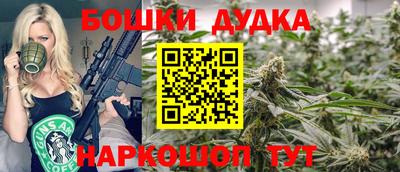 МДПВ Кингисепп