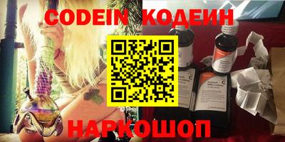 МДПВ Кингисепп