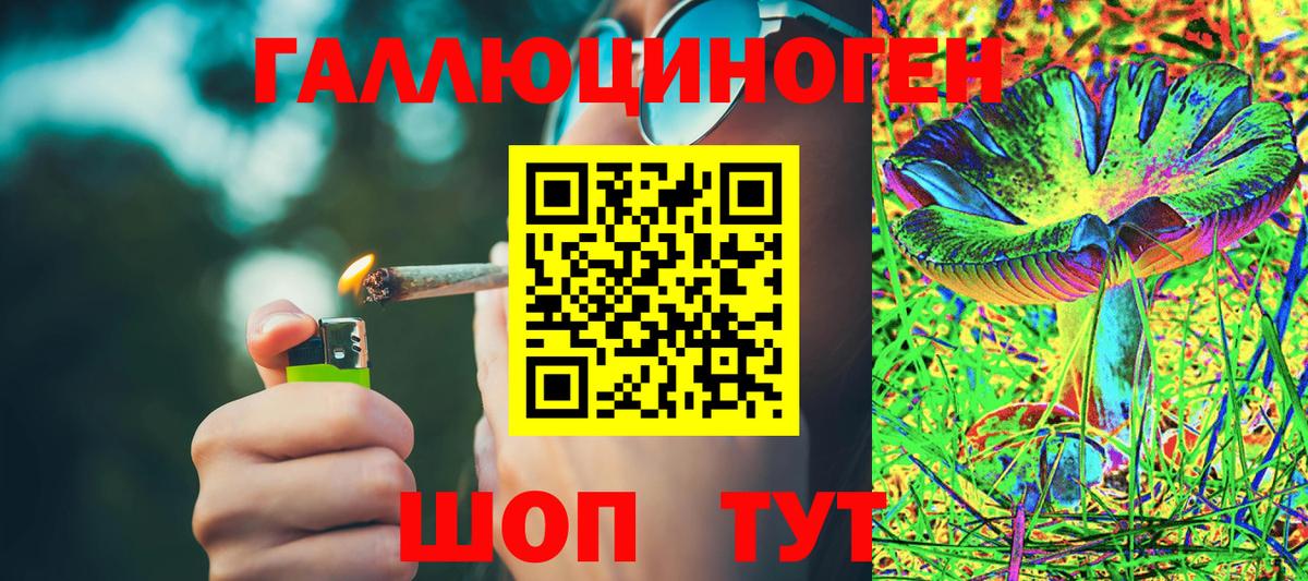 Псилоцибиновые грибы Cubensis Красноуфимск