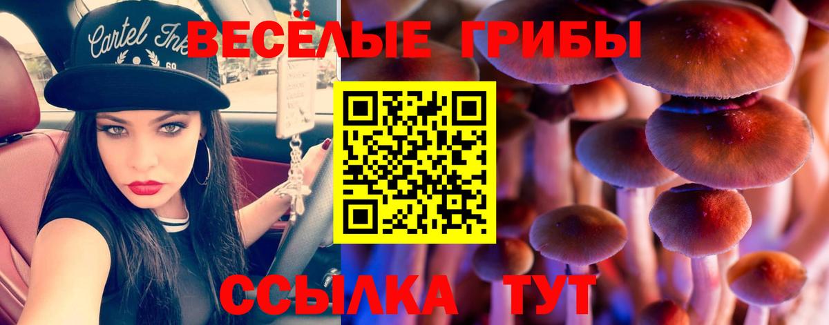Галлюциногенные грибы Psilocybe  Псилоцибиновые грибы Psilocybe  Вход с VPN  Красноуфимск 